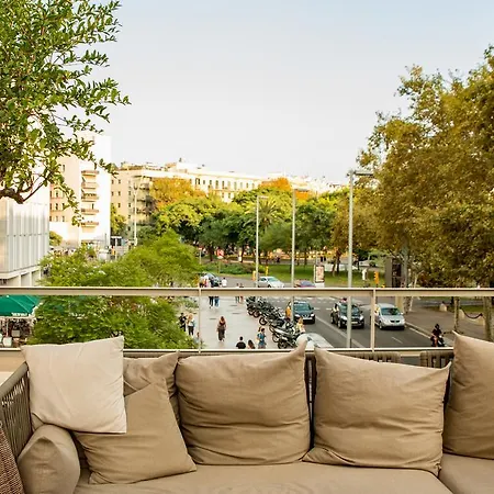 Oasis Otel